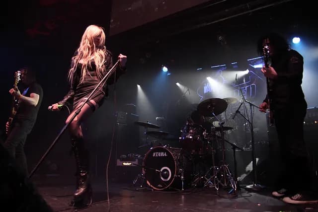 THE PRETTY RECKLESS