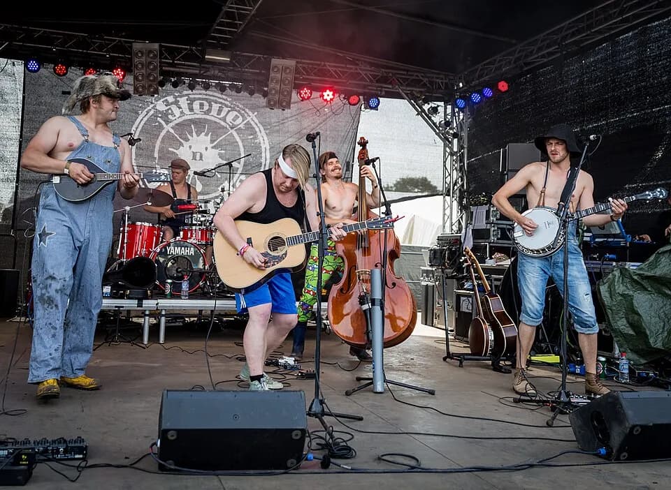 STEVE N SEAGULLS